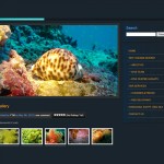 ocean_divers_gallery_page